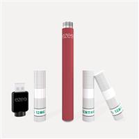 Ezee laddningsbar vape startkit Röd - Mentol 12mg